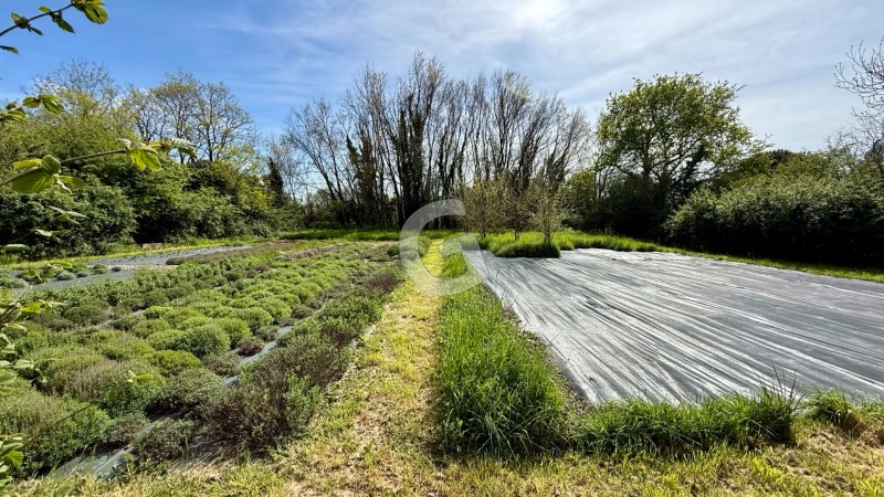 Terrain à vendre 1926 m²