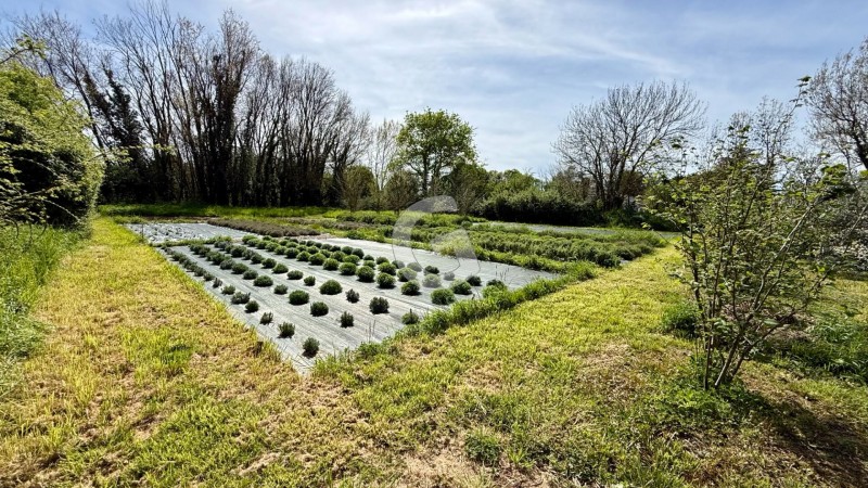 achat vente Terrain 1926 m² vendée