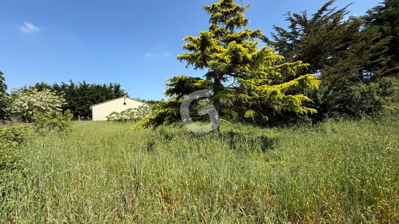 vente Maison Longeville-sur-Mer 74 m²