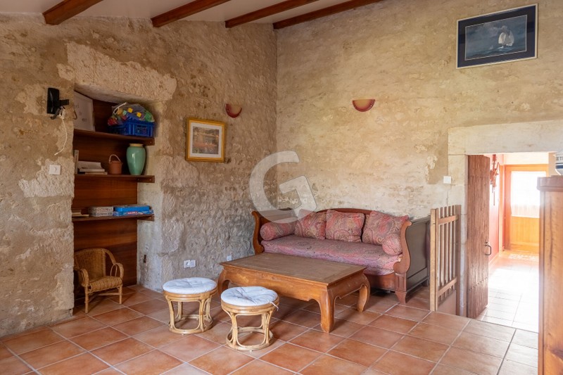 achat vente Maison 8 pièces 219 m² vendée