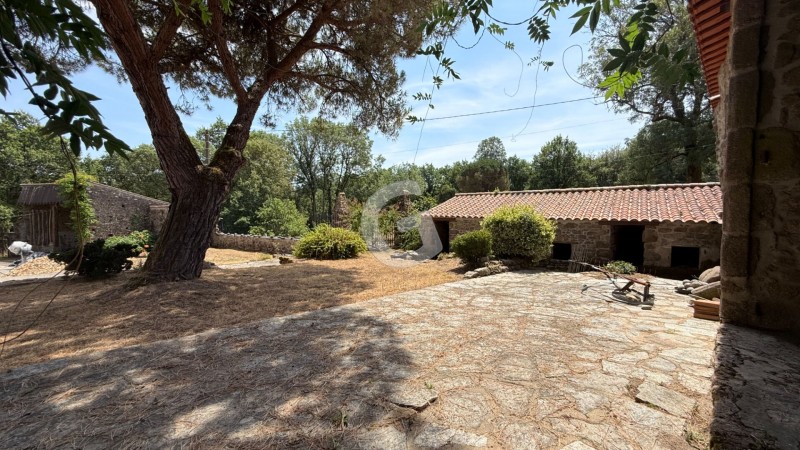 immobilier Maison à vendre Saint-Florent-des-Bois 576 375 euros