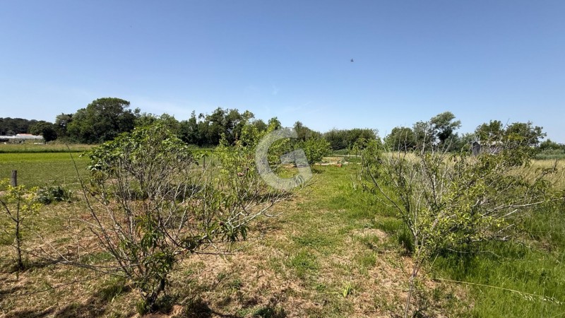 immobilier Terrain à vendre Longeville-sur-Mer 128 400 euros