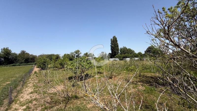Terrain à vendre 1437 m²