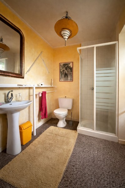 achat vente Maison 9 pièces 347 m² vendée