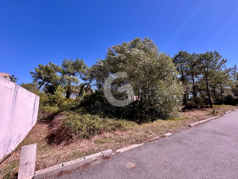 vente Terrain La Tranche-sur-Mer 400 m²