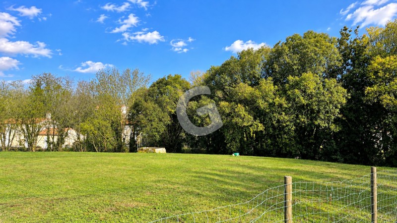 achat vente Maison 4 pièces 123 m² vendée