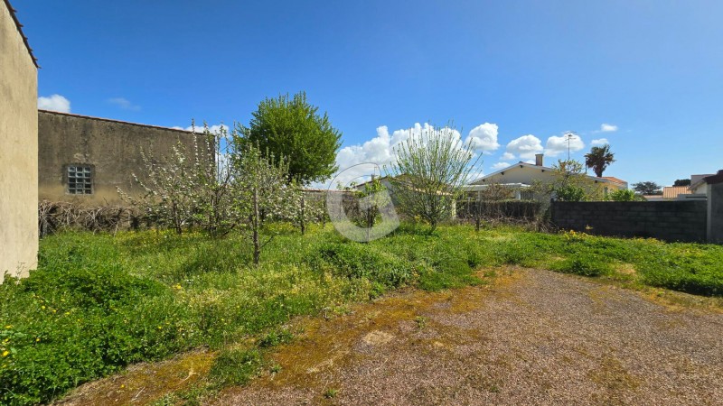 vente Terrain Saint-Vincent-sur-Jard 516 m²