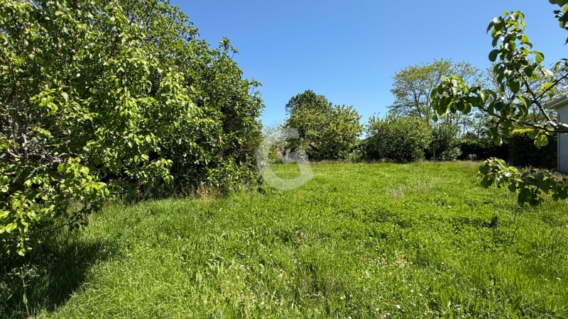 immobilier Terrain à vendre Longeville-sur-Mer 117 900 euros