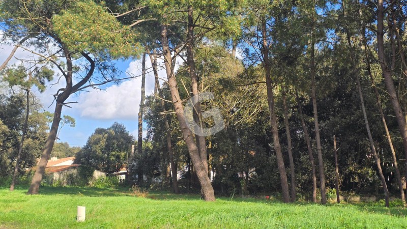 vente Terrain Jard-sur-Mer 459 m²