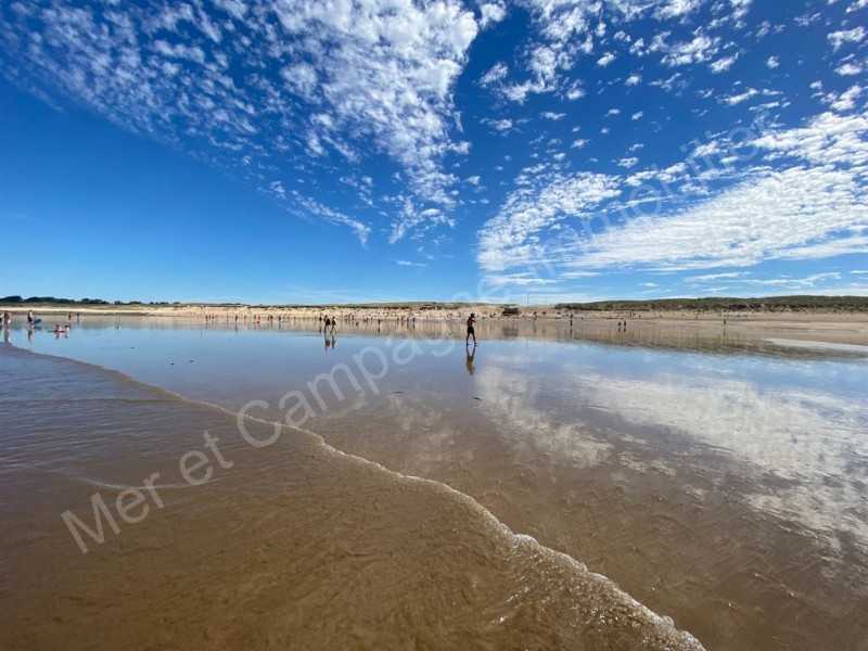 vente Terrain Brétignolles-sur-Mer 276 m²
