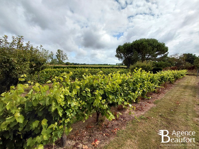 achat vente Maison 8 pièces 210 m² vendée