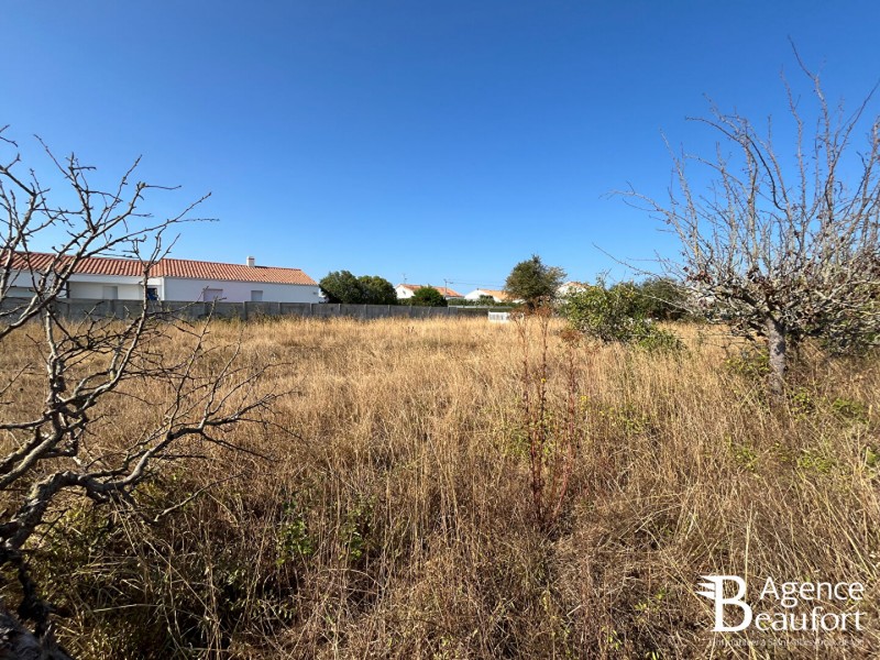 vente Terrain Saint-Hilaire-de-Riez 751 m²