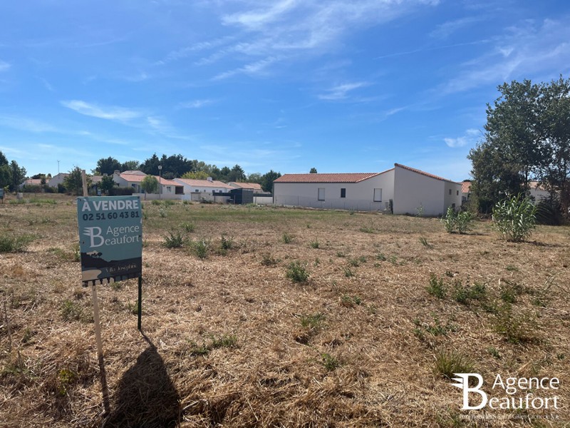 vente Terrain Saint-Hilaire-de-Riez 564 m²