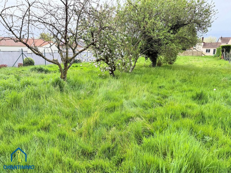 immobilier Maison à vendre Chantonnay 163 500 euros