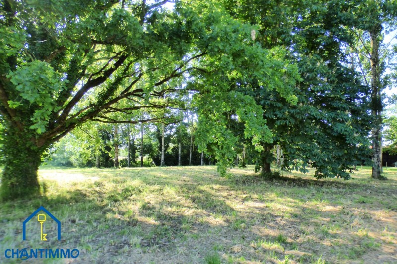 immobilier Maison à vendre Chantonnay 75 250 euros