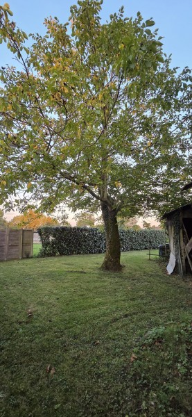 vente Maison Chantonnay 108 m²