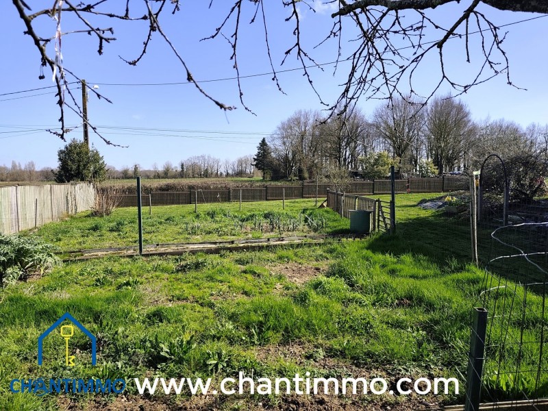 vente Terrain Chantonnay 635 m²