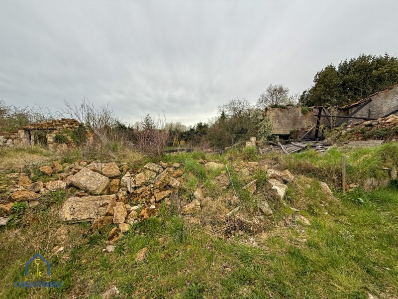 vente Maison Sainte-Hermine 1 m²
