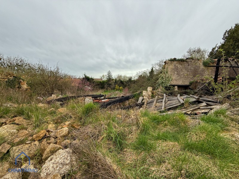 immobilier Maison à vendre Sainte-Hermine 7 500 euros
