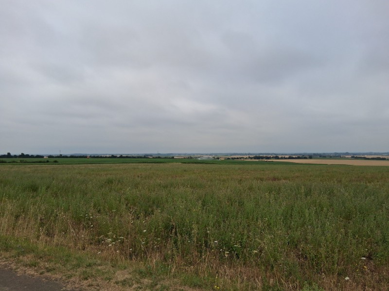 vente Terrain Sainte-Hermine 779 m²