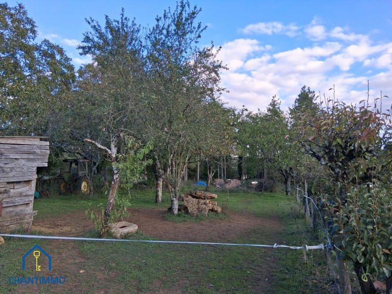 immobilier Maison à vendre La Caillère-Saint-Hilaire 199 500 euros
