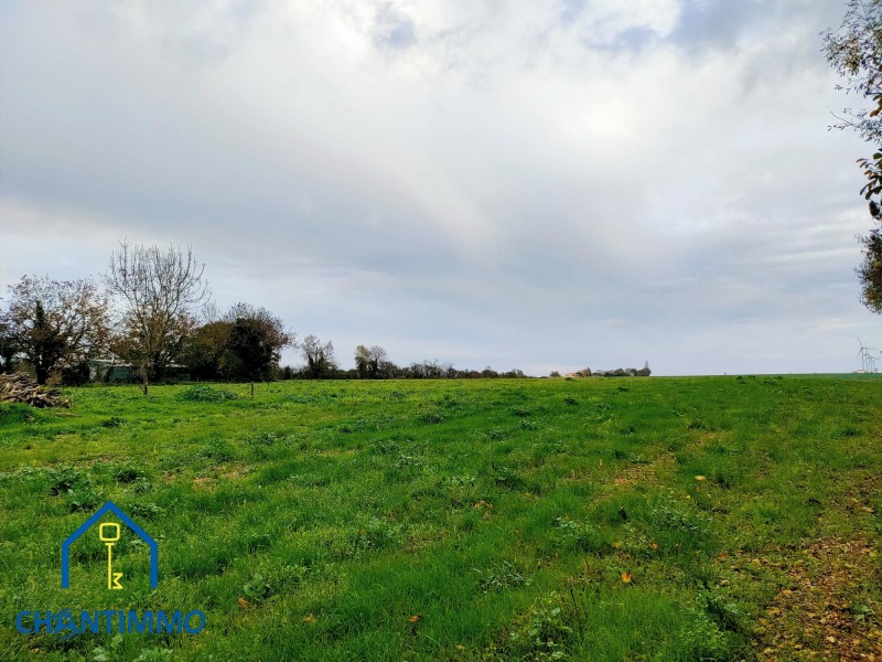 vente Terrain Sainte-Hermine 3132 m²