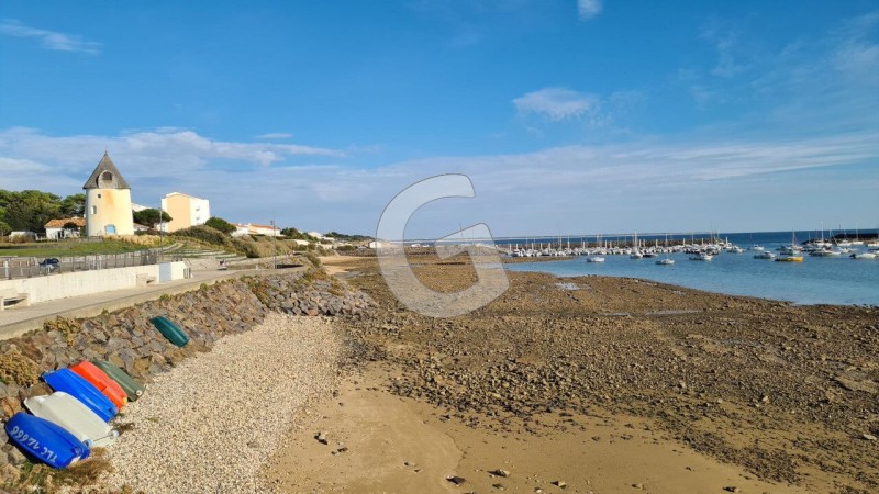 achat vente Maison 3 pièces 66 m² vendée