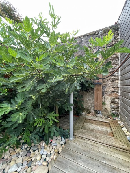 Maison à vendre Les Sables-d'Olonne