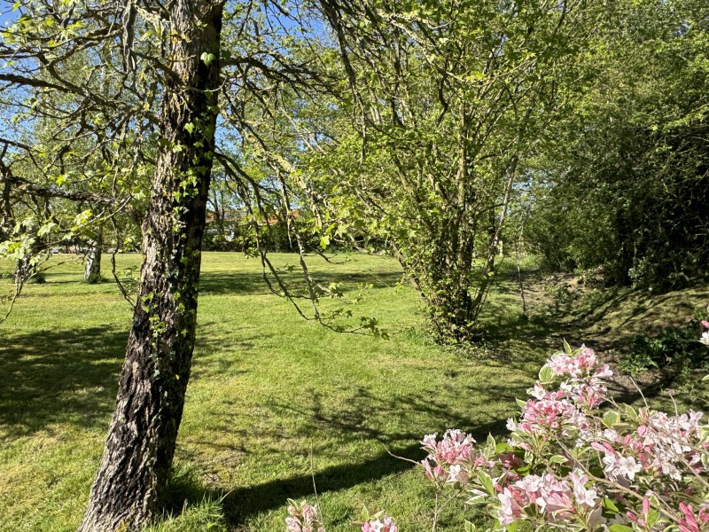 vente Terrain à bâtir Coëx