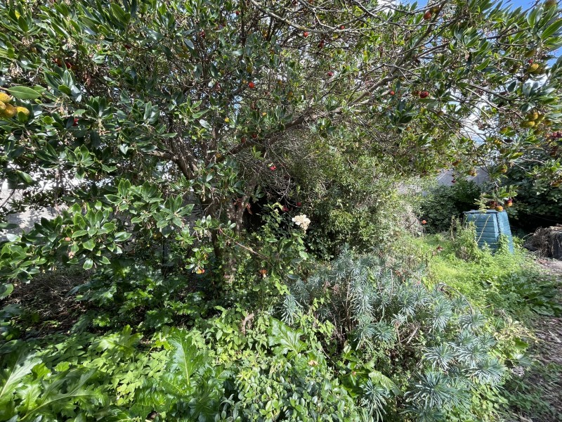 Maison à vendre 80 m²