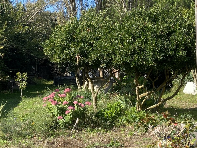 immobilier Maison à vendre Les Sables-d'Olonne 371 000 euros