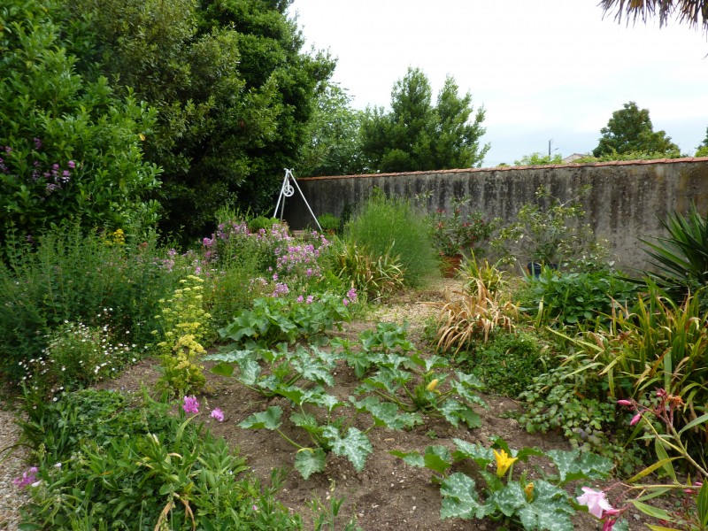 immobilier Maison à vendre Coëx 189 000 euros
