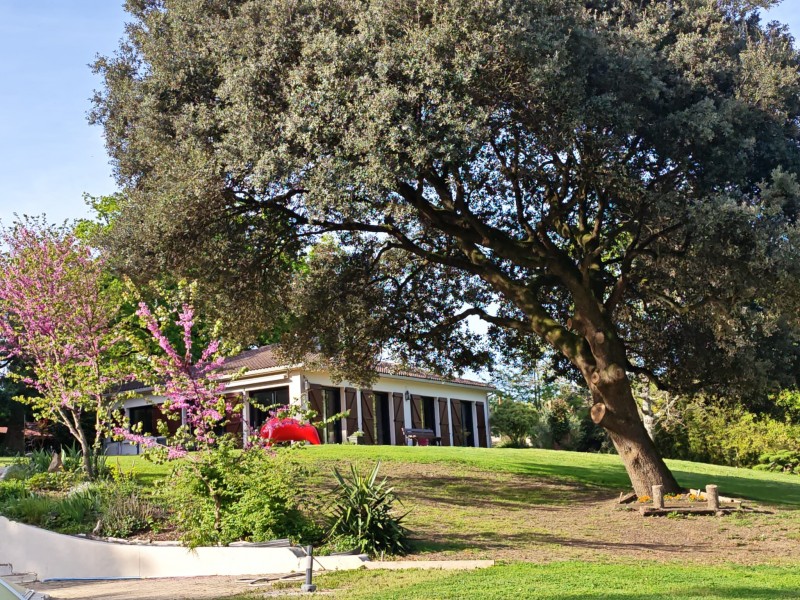Maison à vendre Saint-Révérend