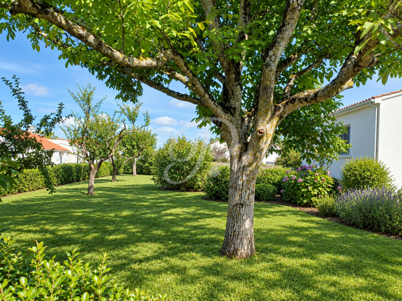 achat vente Maison 132 m² vendée