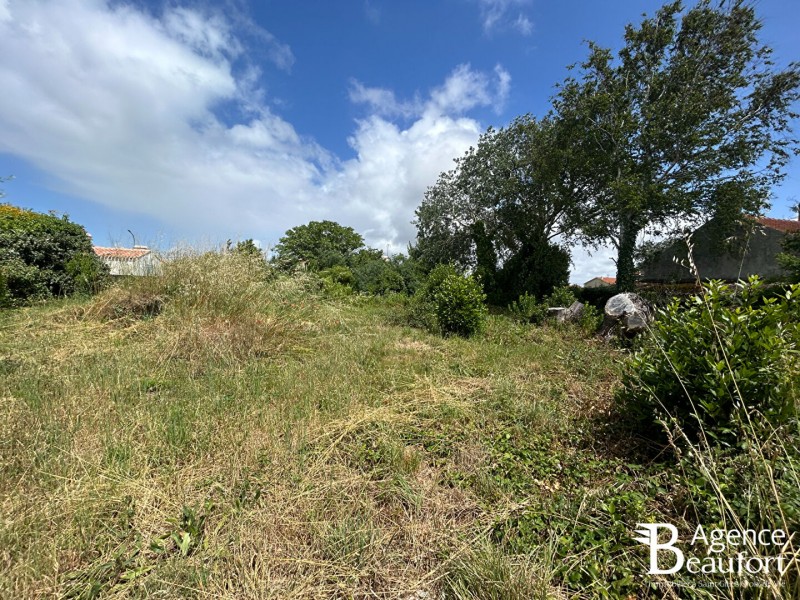 vente Terrain Saint-Hilaire-de-Riez 427 m²