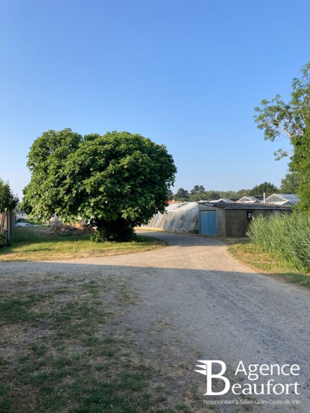 vente Local Commercial Saint-Hilaire-de-Riez 20101 m²