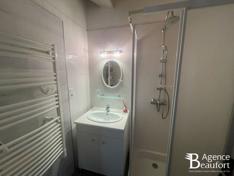 vente Maison Brem-sur-Mer 257 m²