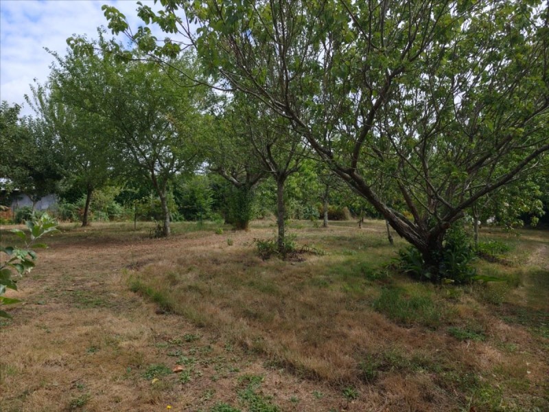 vente Maison Nesmy 210 m²